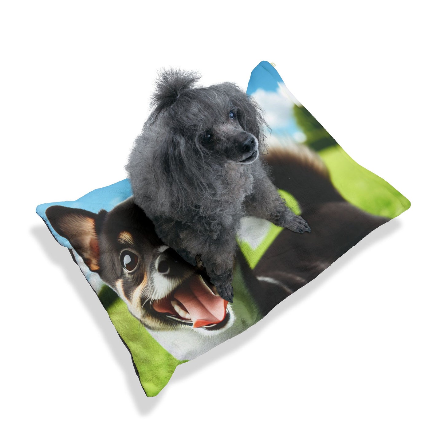 Japanese Terrier Pet Bed