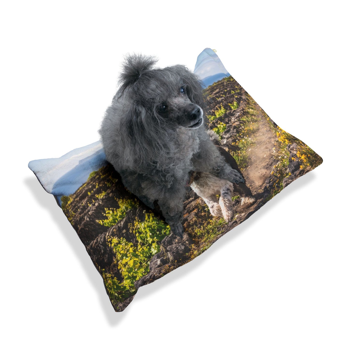 Portuguese Water Dog Pet Bed