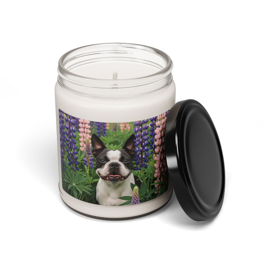 Boston Terrier- Scented Soy Candle, 9oz