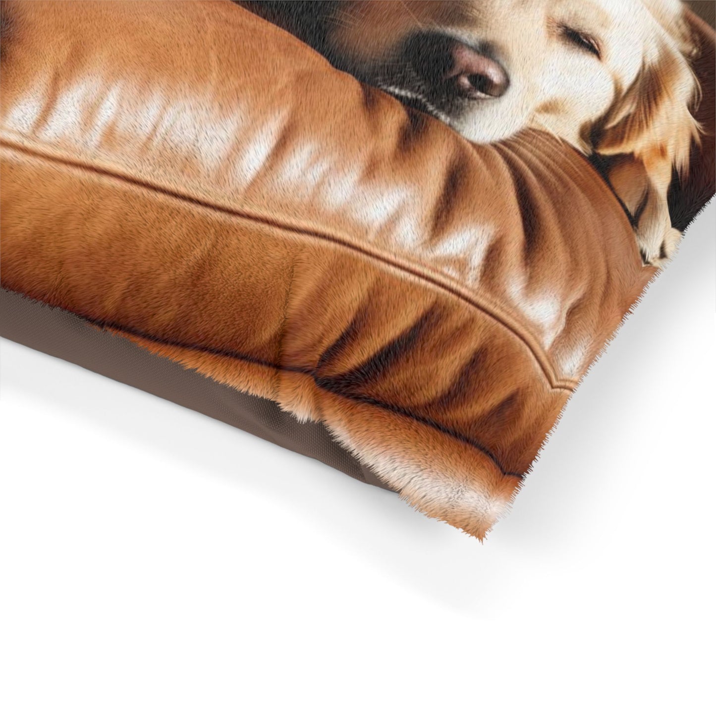 Recliner Dogs Pet Bed