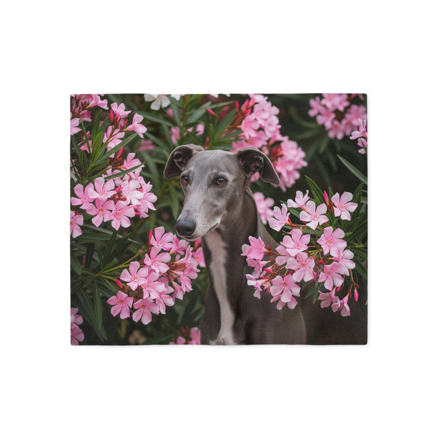 Greyhound Sweatshirt Blanket