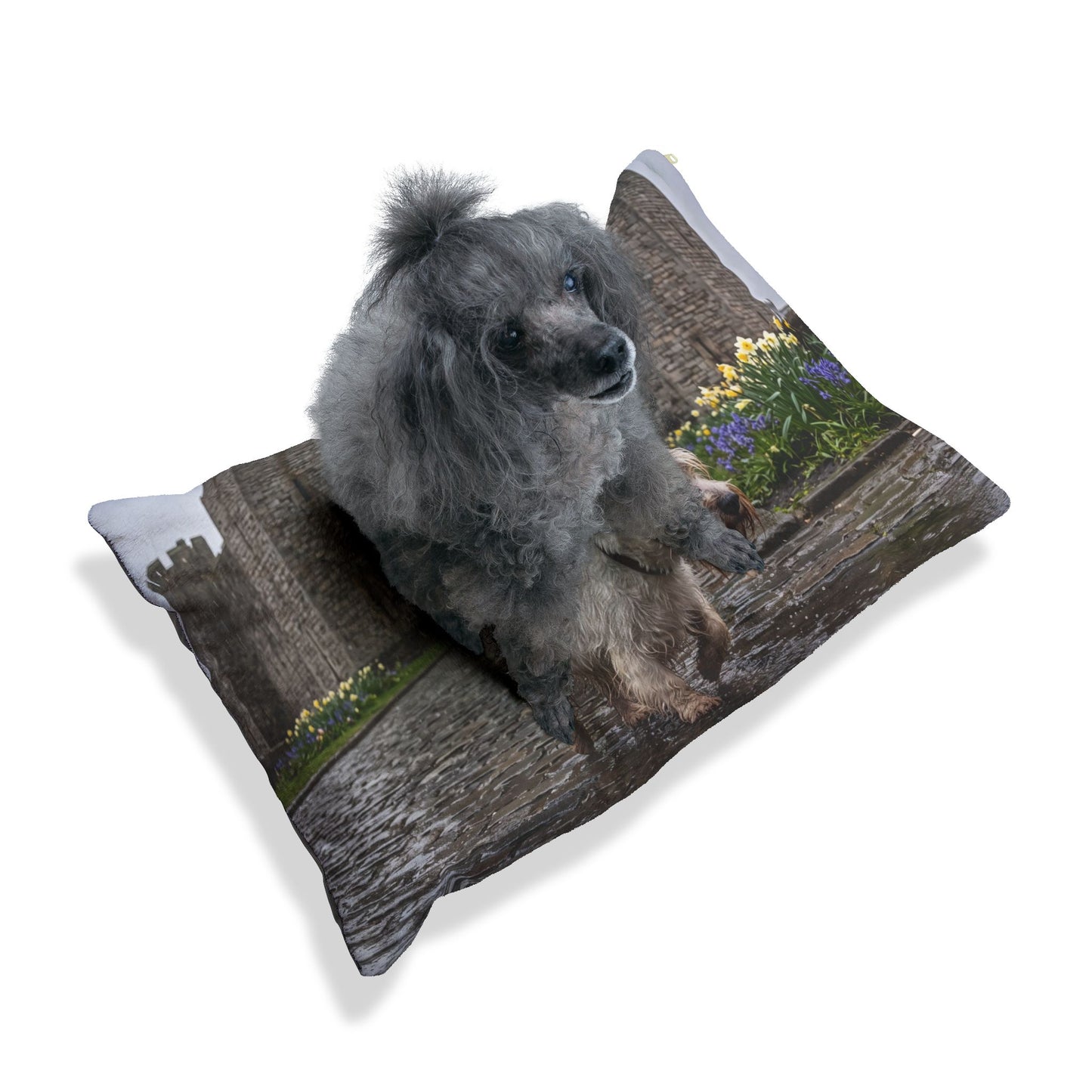Sealyham Terrier Pet Bed