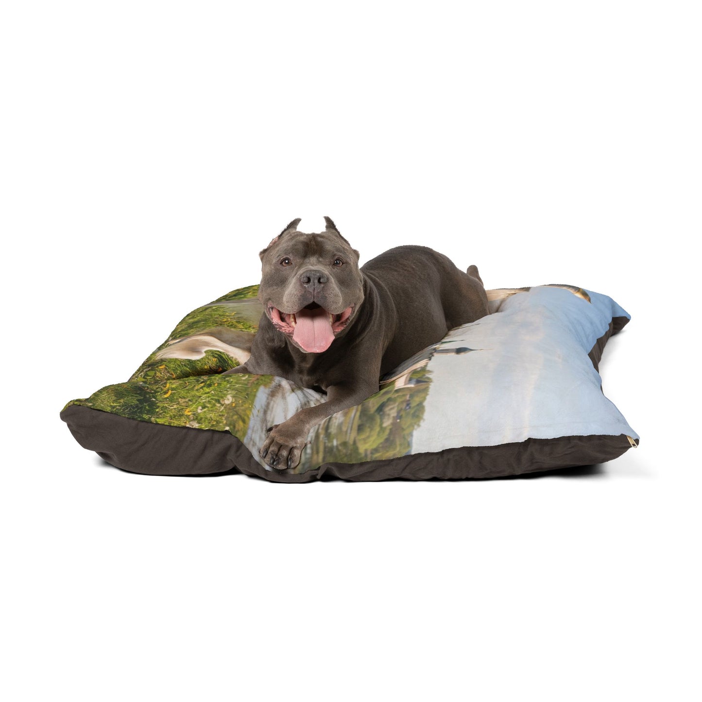 Borzoi Pet Bed