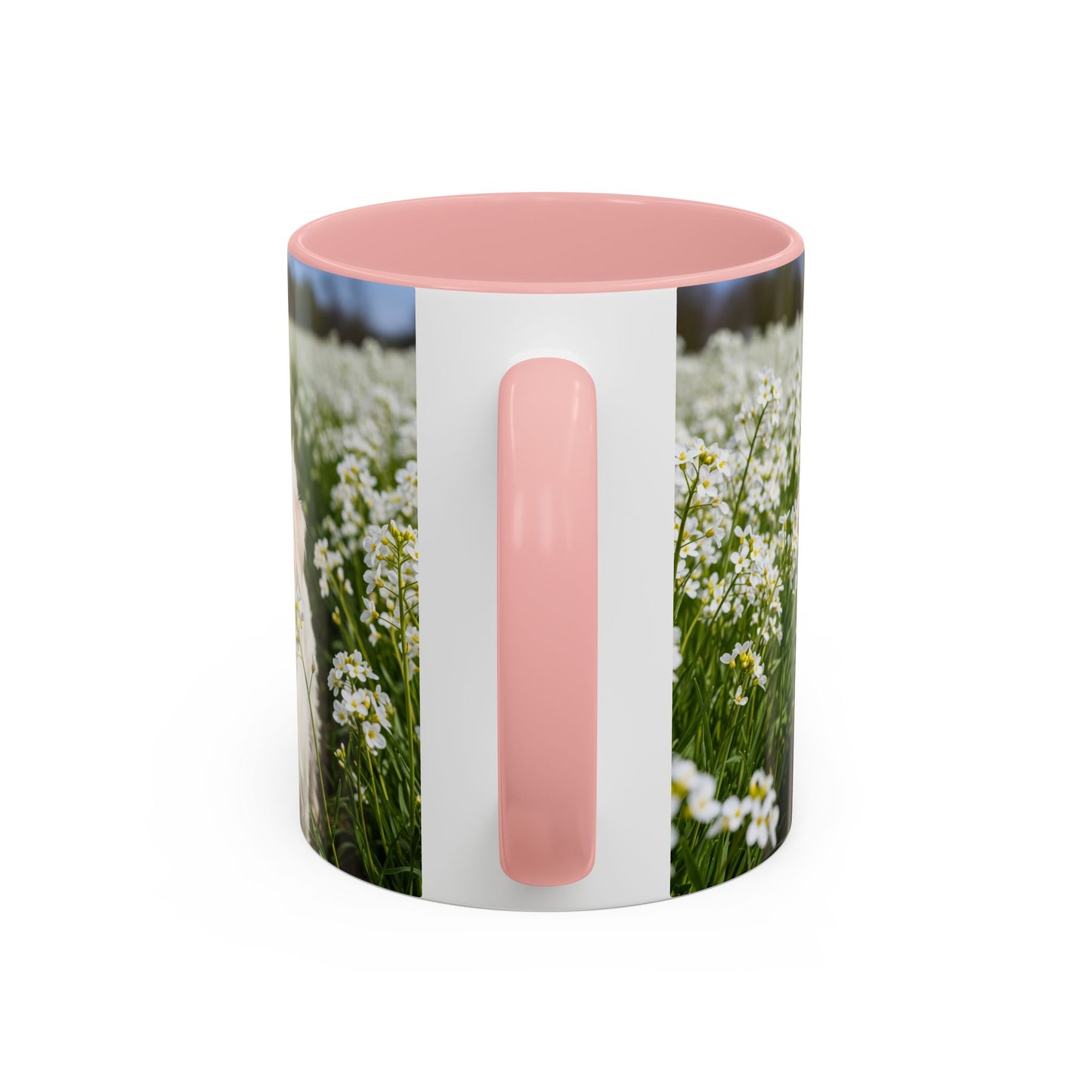 Taza de café con acento Kromfohrlander: el regalo perfecto para los amantes de los perros