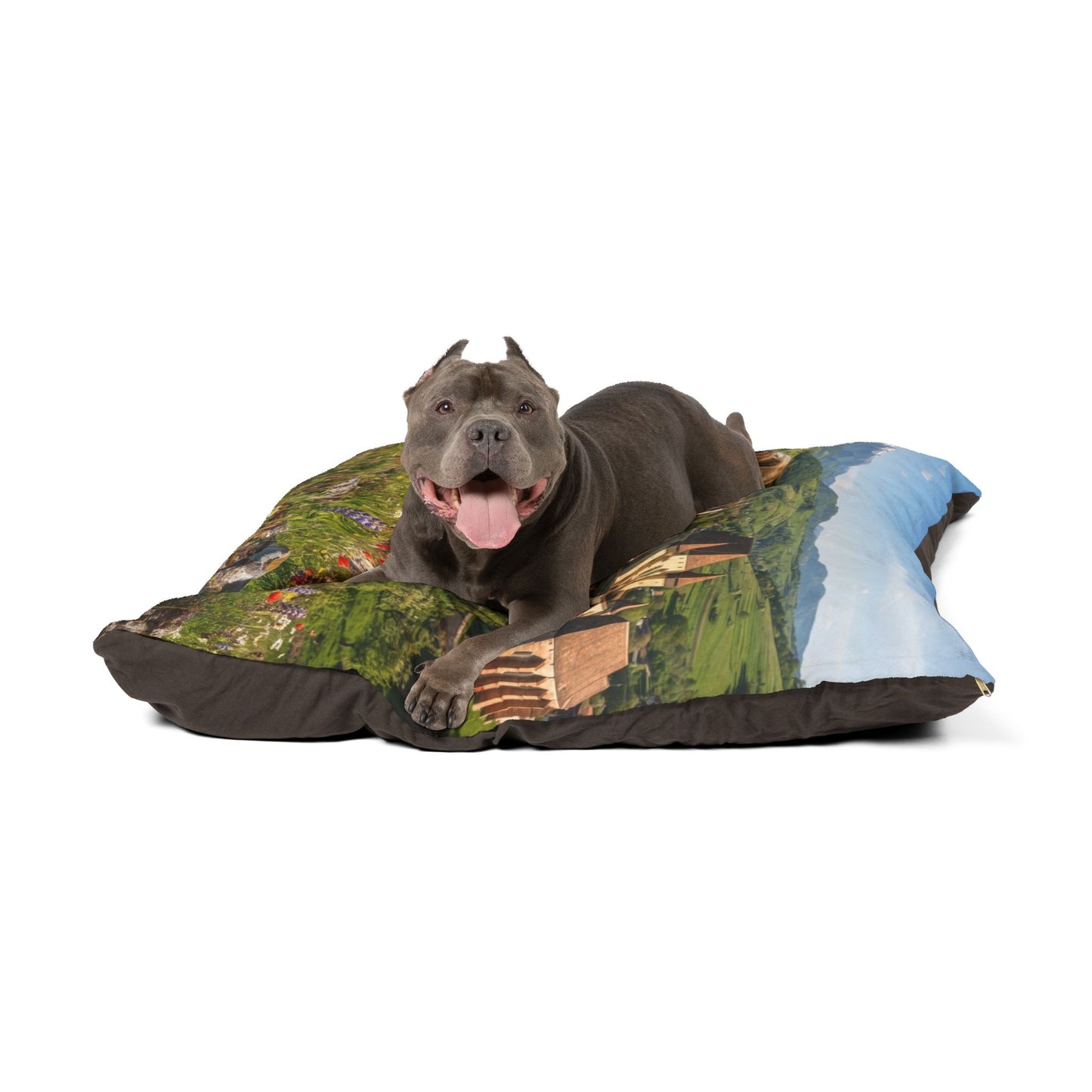 Romanian Carpathian Shepherd Dog Pet Bed