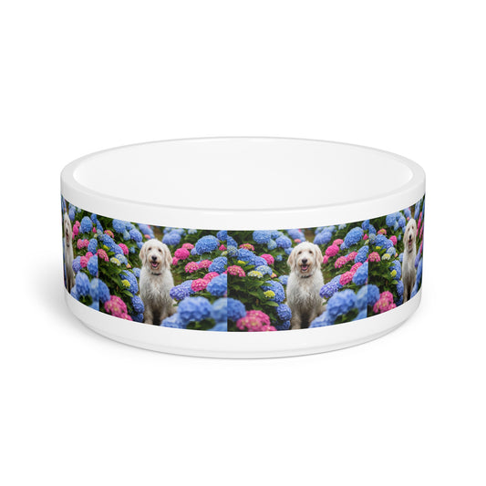 Barbado da Terceira Pet Bowl