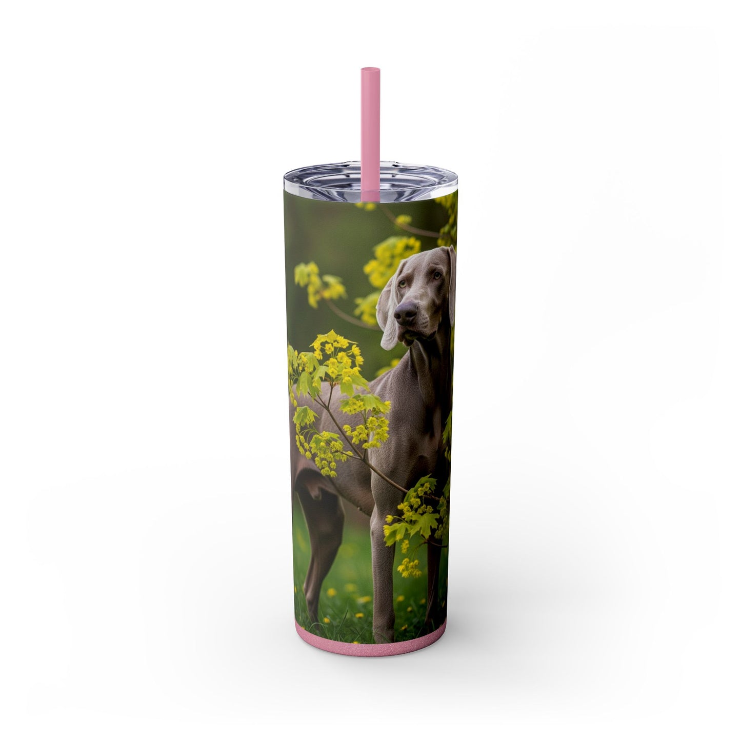 Weimaraner Skinny Tumbler with Straw, 20oz