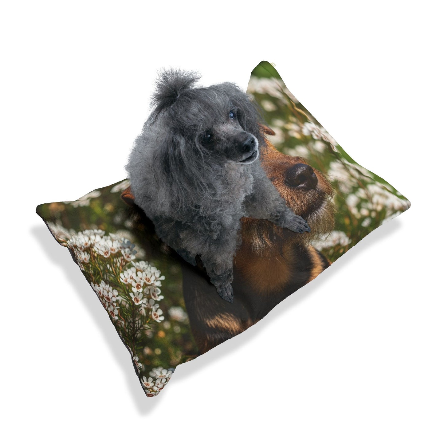Tenterfield Terrier Pet Bed