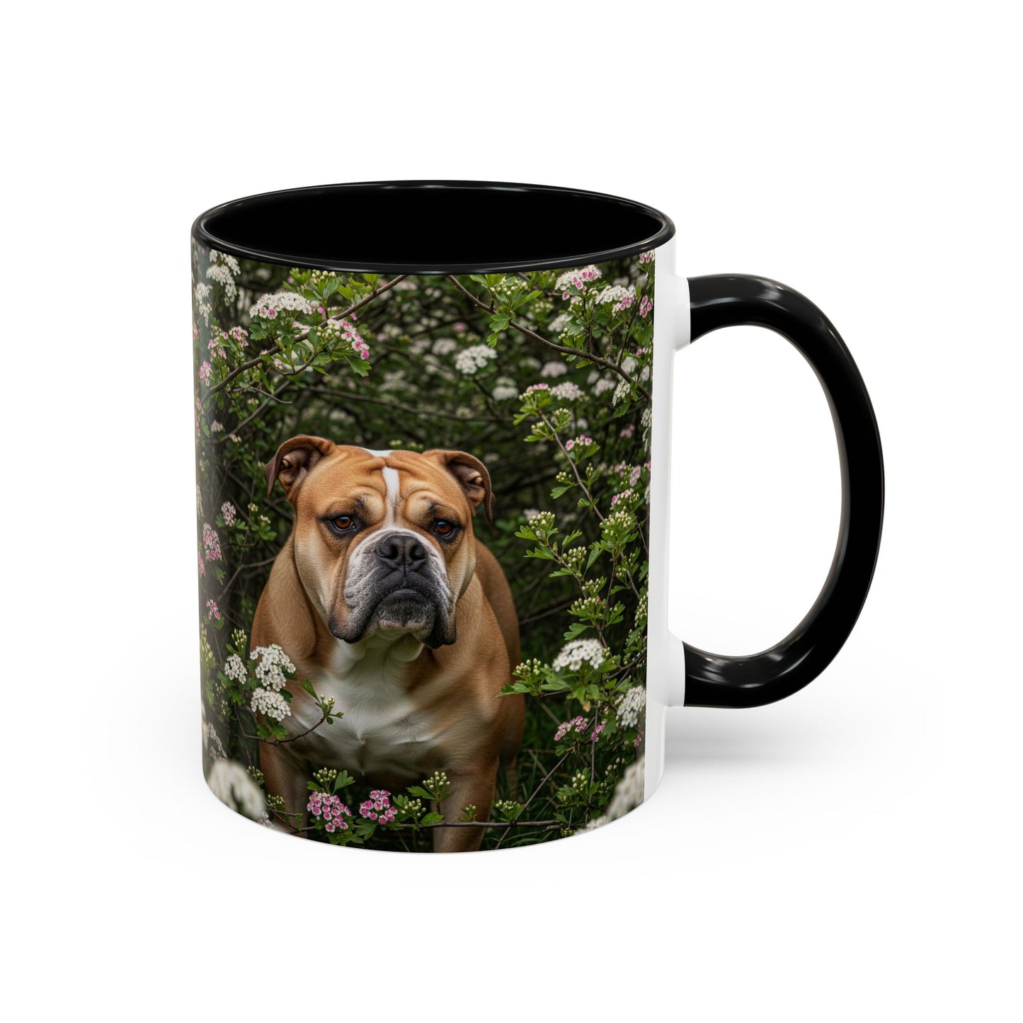 Mug à café Olde English Bulldogge Accent - Cadeau idéal pour les amoureux des chiens
