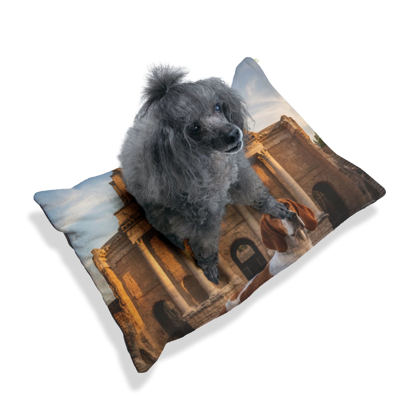 Chien Français Blanc Pet Bed