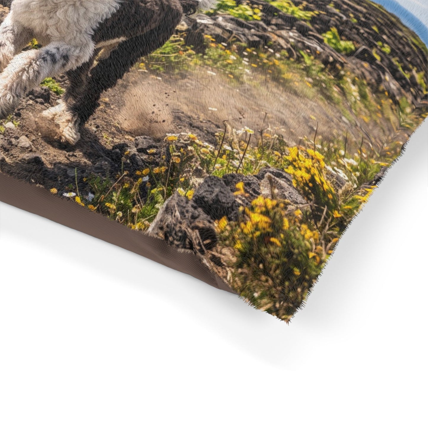 Portuguese Water Dog Pet Bed