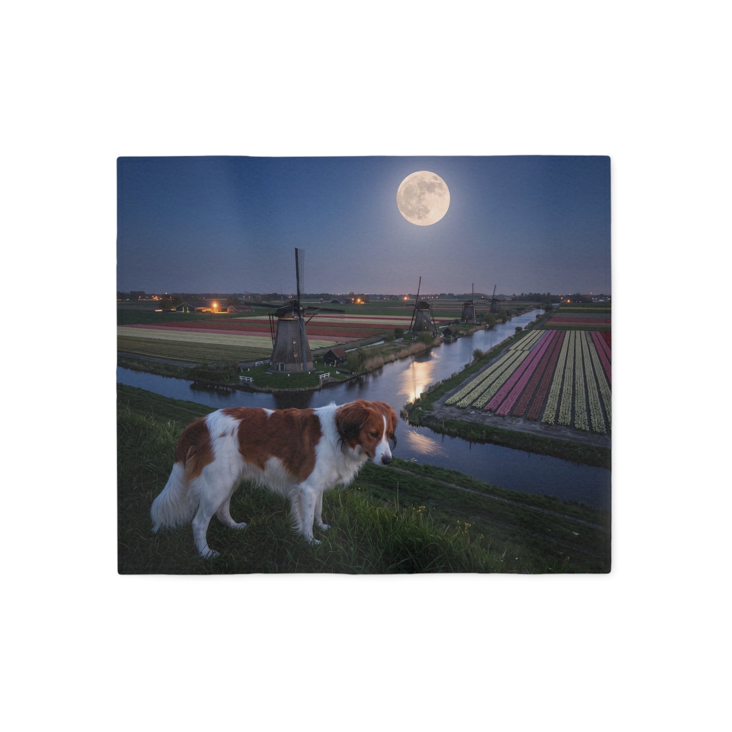 Nederlandse Kooikerhondje Blanket