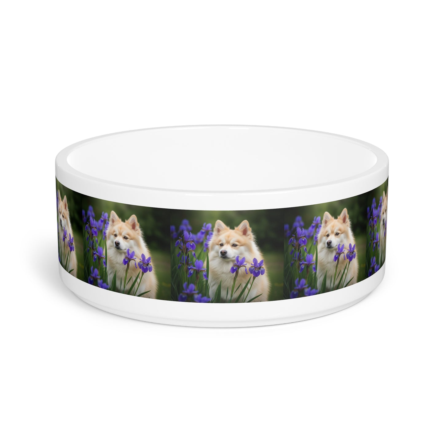 Pomsky Pet Bowl