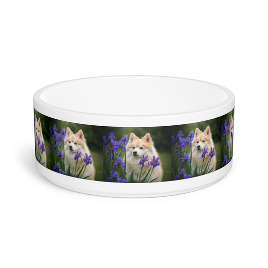 Pomsky Pet Bowl
