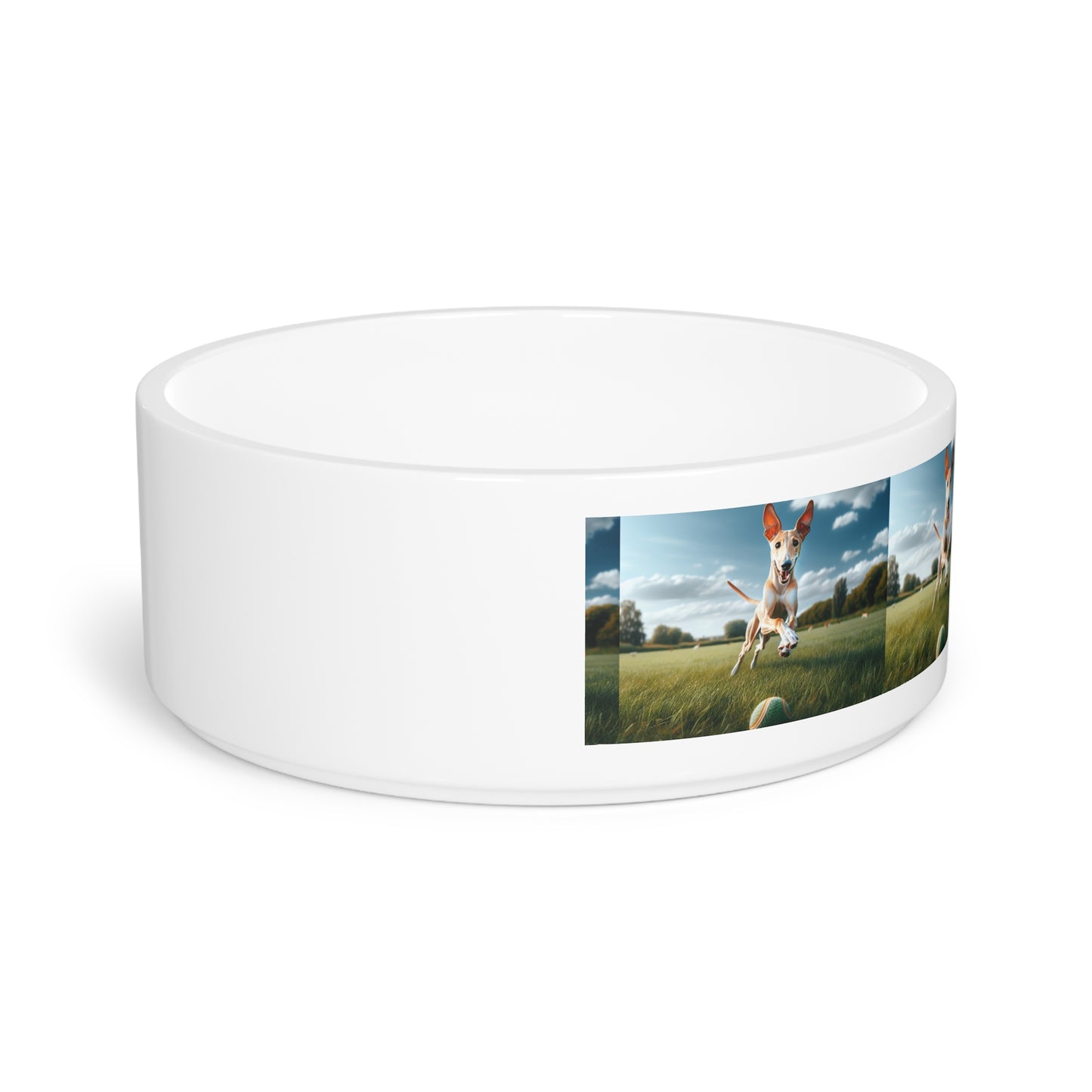 Ibizan Hound Pet Bowl