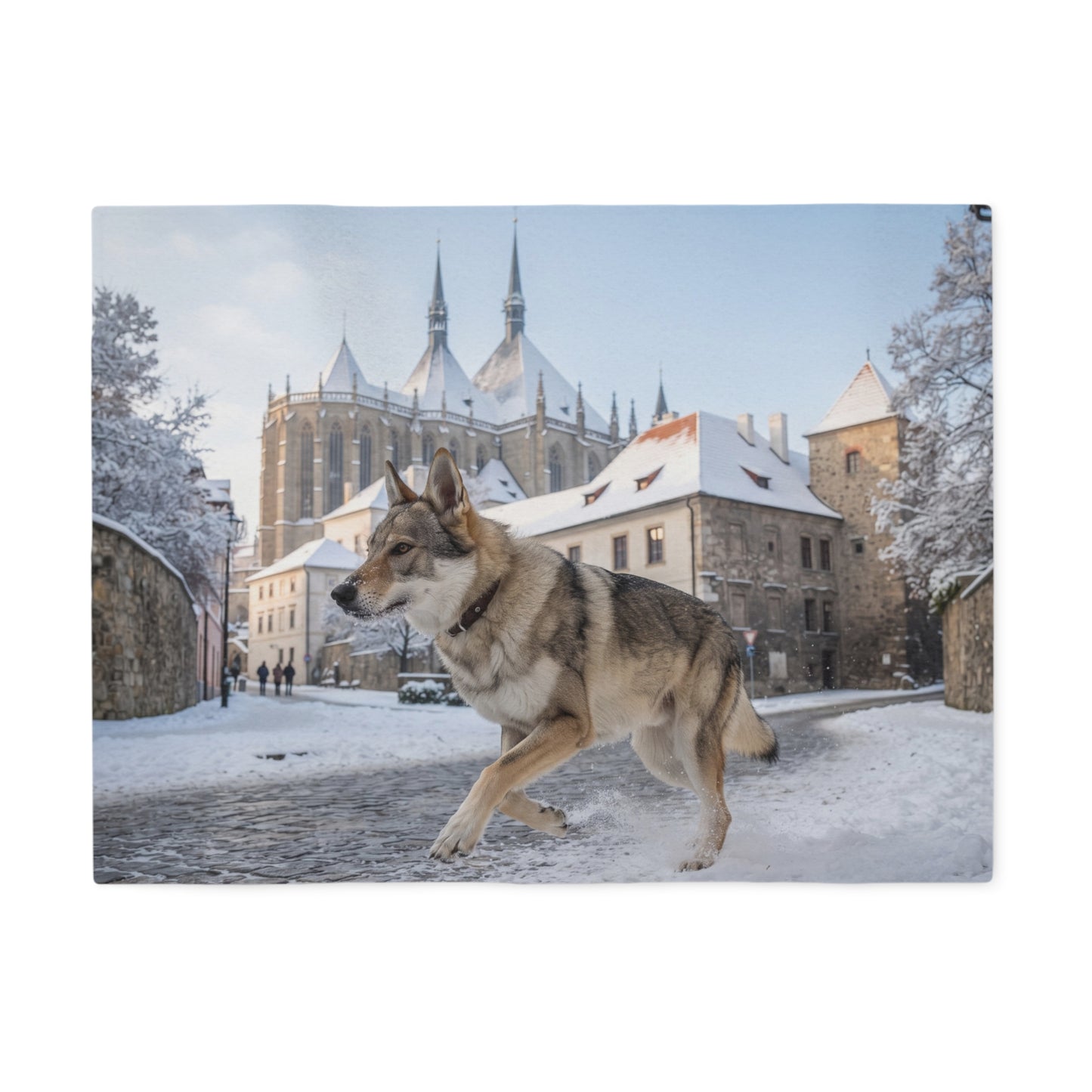 Czechoslovakian Wolfdog Blanket