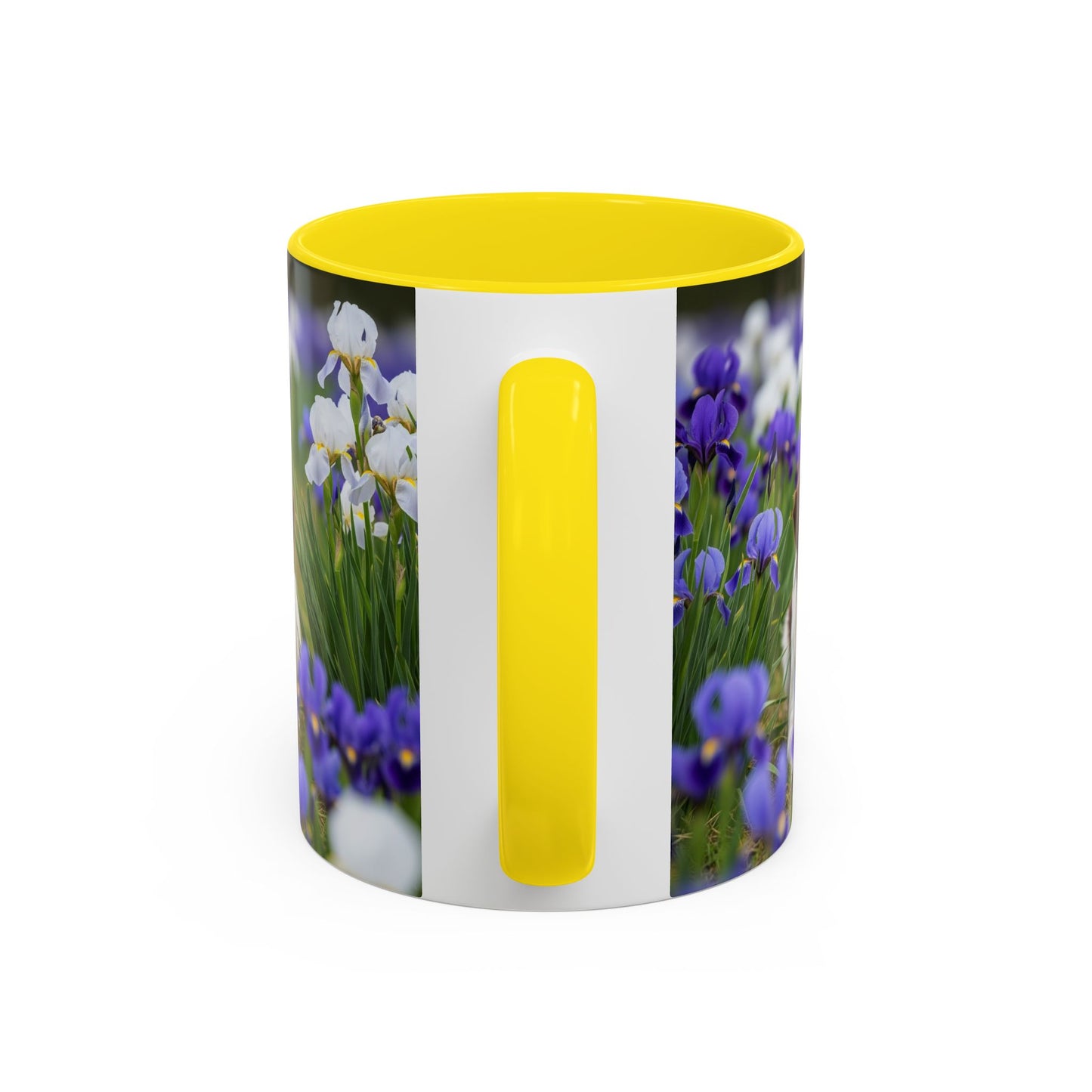 Mug Stabyhouns Accent - Cadeau idéal pour les amoureux des chiens