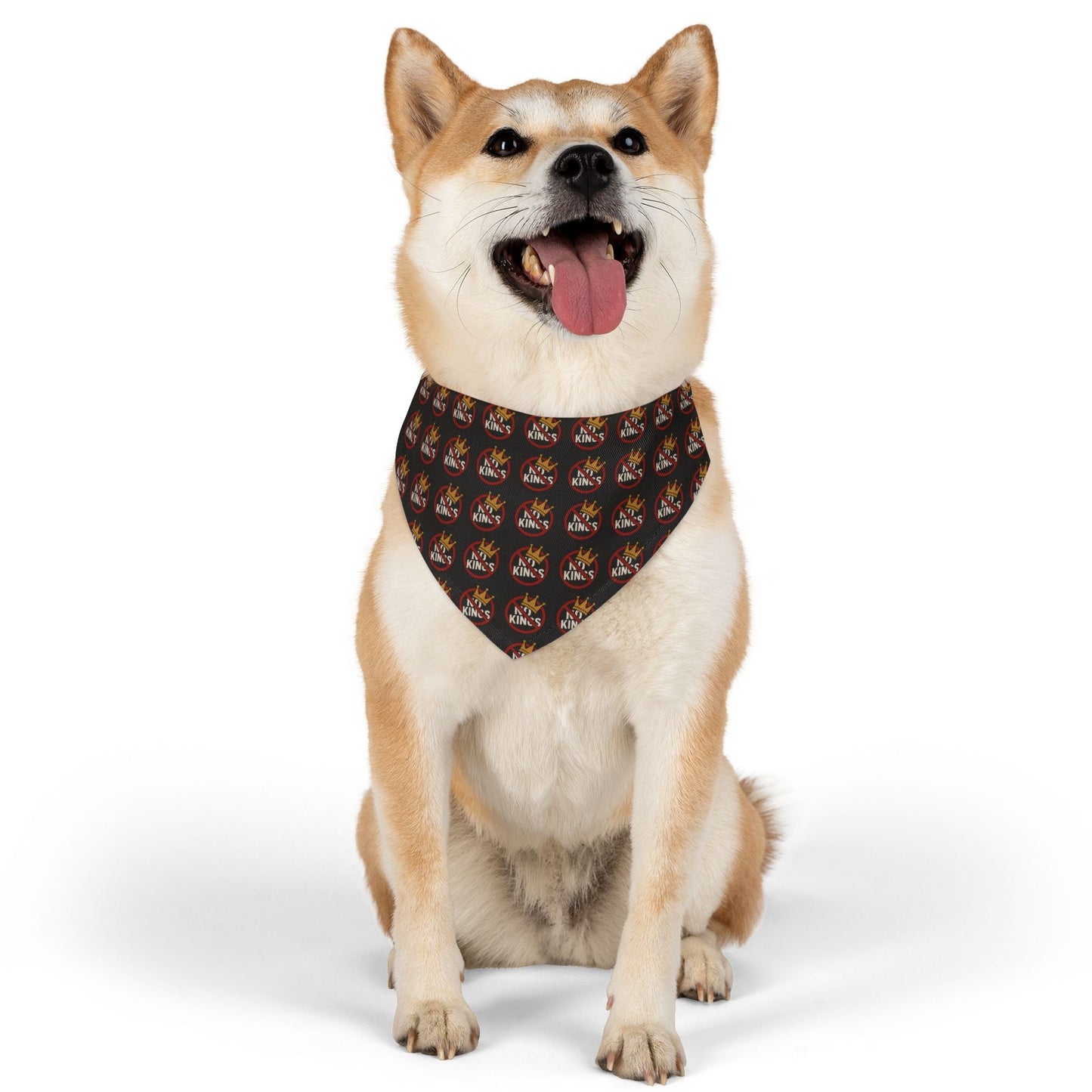 Bandana et collier No Kings