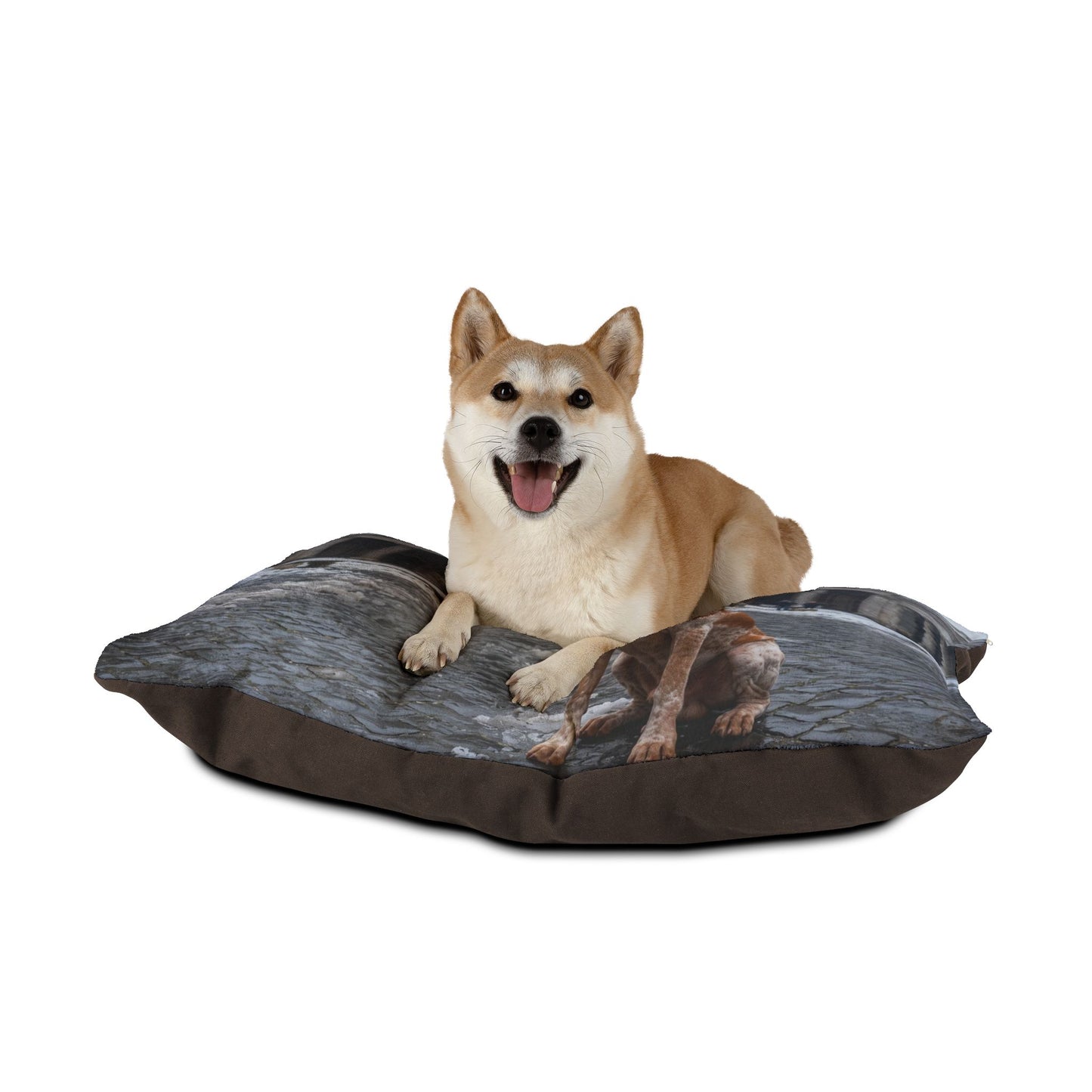 Bracco Italiano Pet Bed