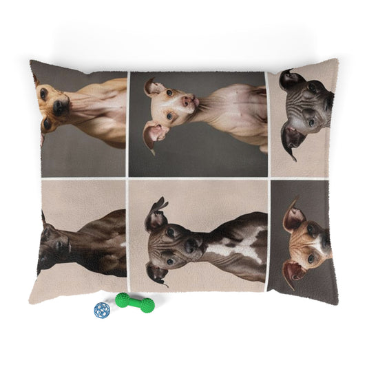 Hairless Dogs Pet Bed