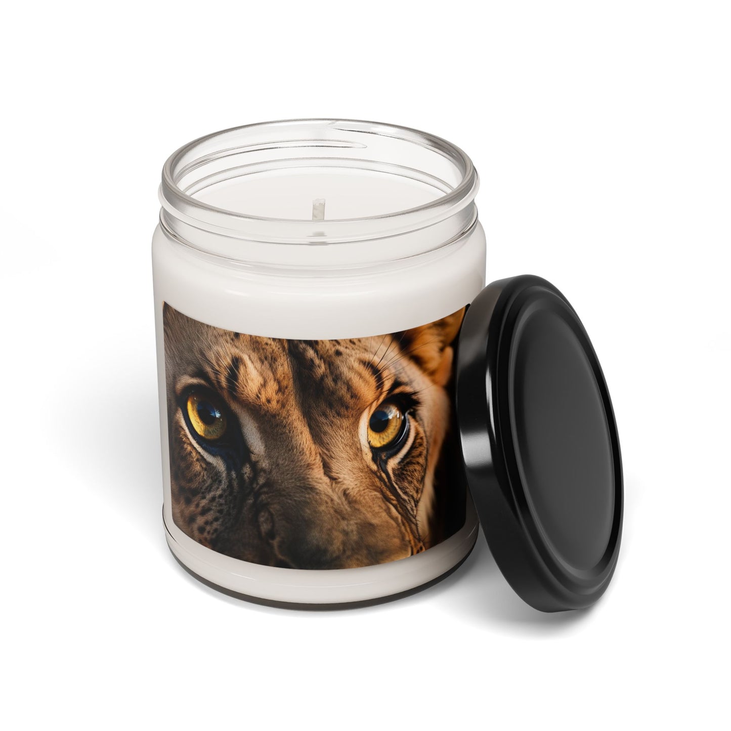 Close Up of a Lion's Eye- Scented Soy Candle, 9oz