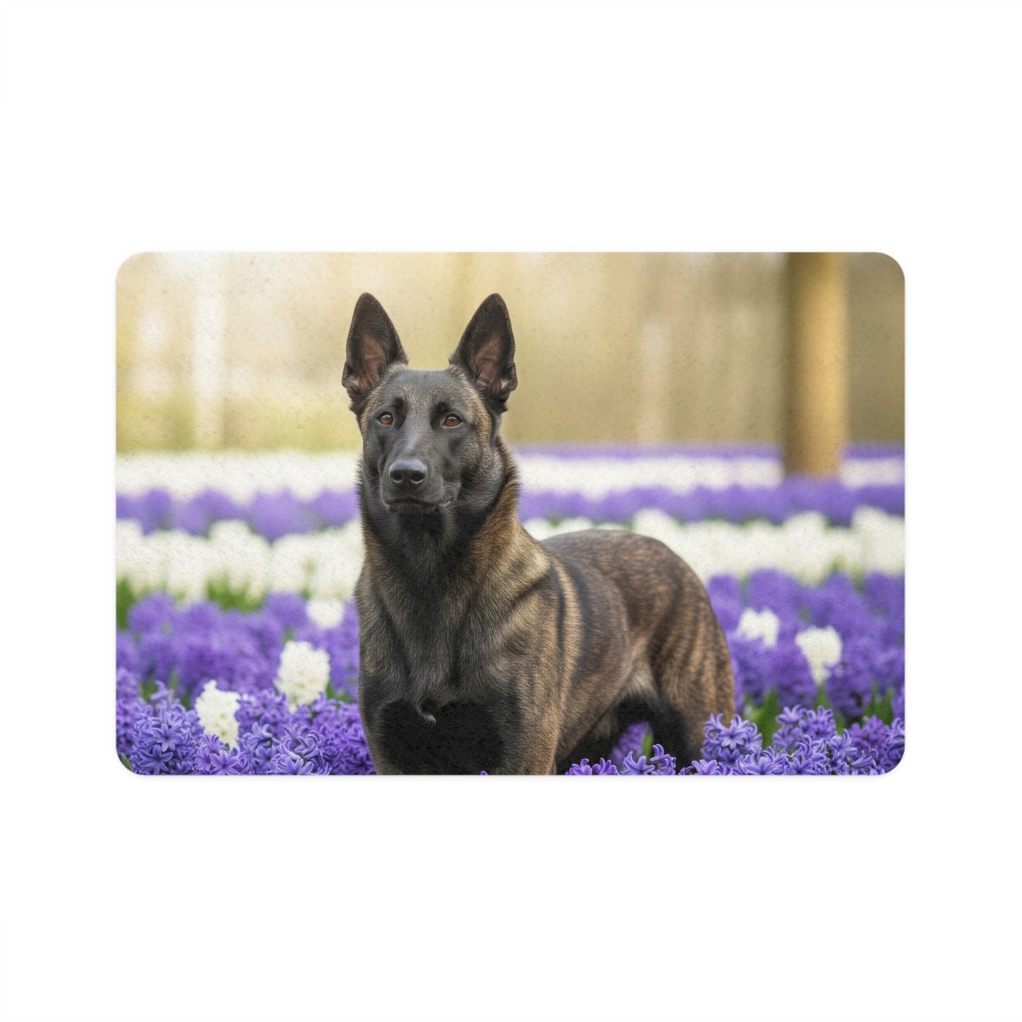 Pet Food Mat (12x18) - Dutch Shepherd Dog