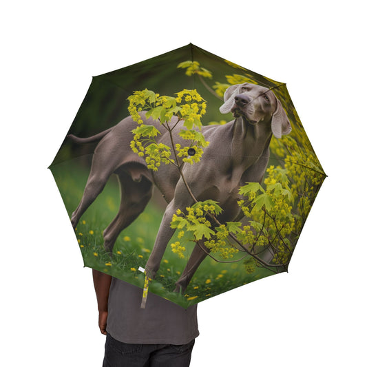 Weimaraner Semi-Automatic Foldable Umbrella