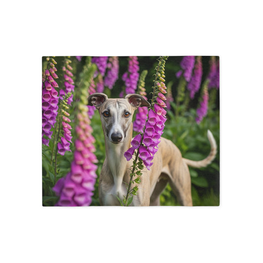 Whippet Sweatshirt Blanket