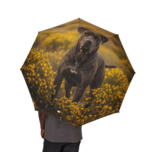 Rafeiro do Alentejo Semi-Automatic Foldable Umbrella