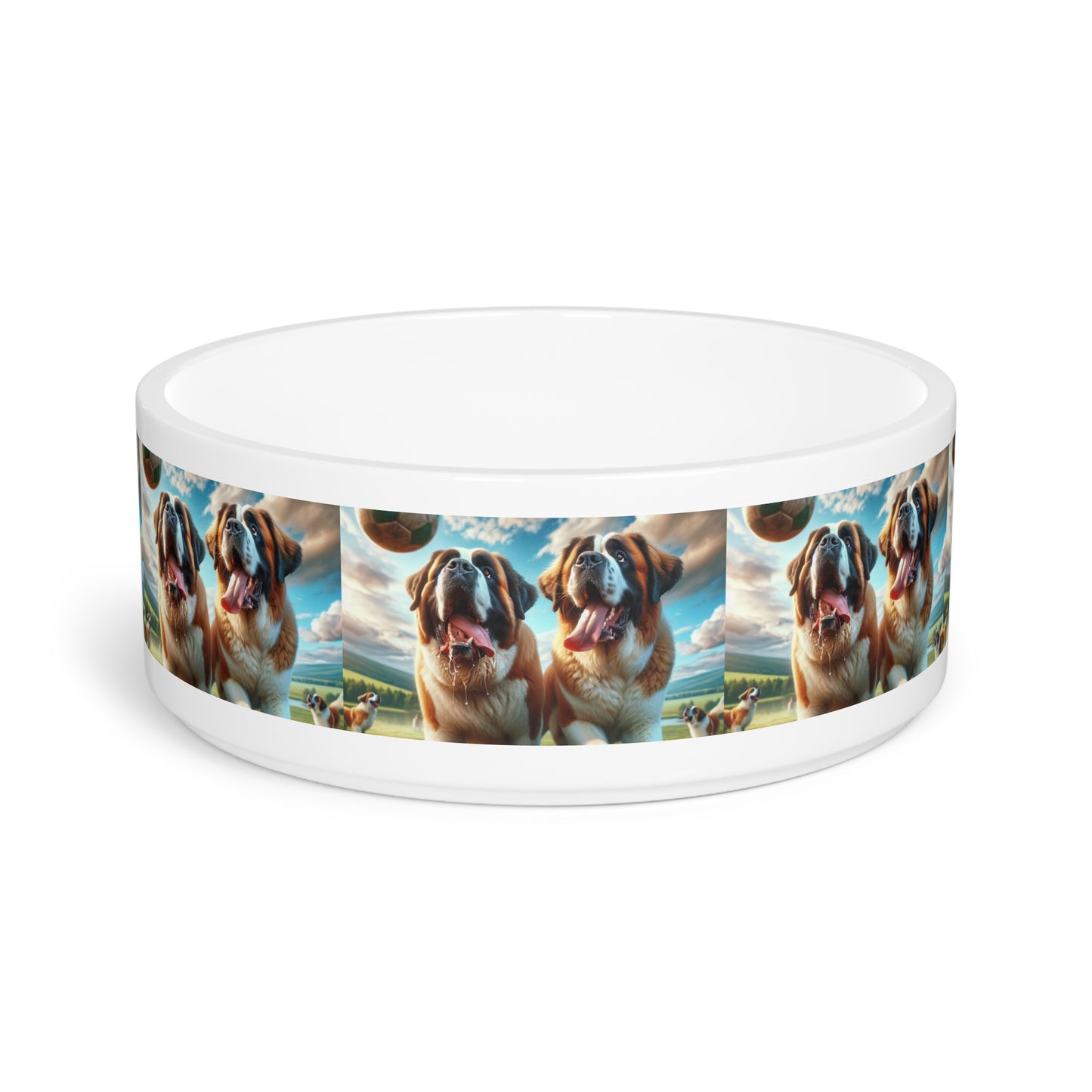 Saint Bernards Pet Bowl