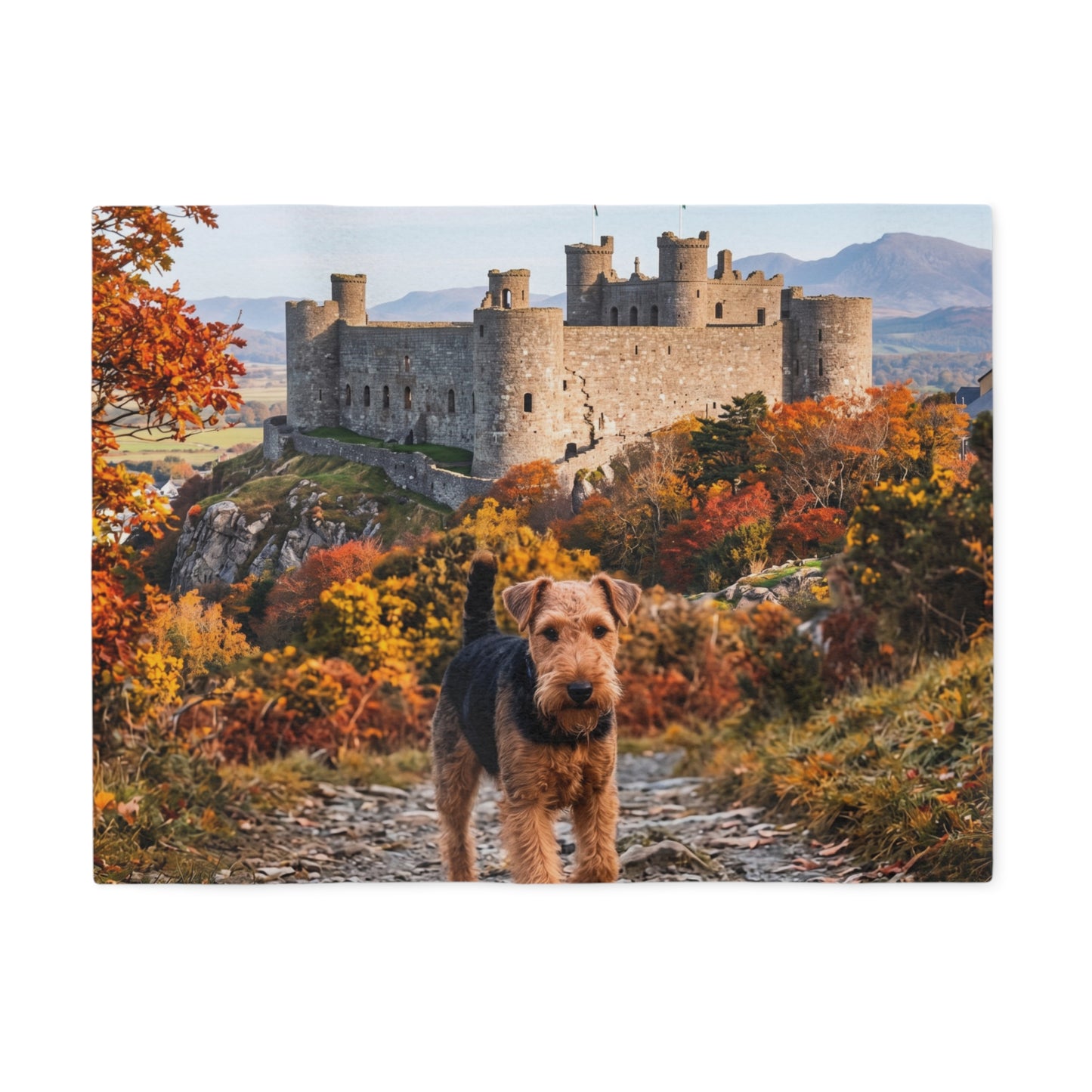 Welsh Terrier Blanket