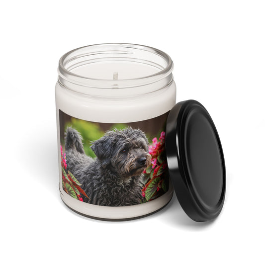 Puli- Scented Soy Candle, 9oz