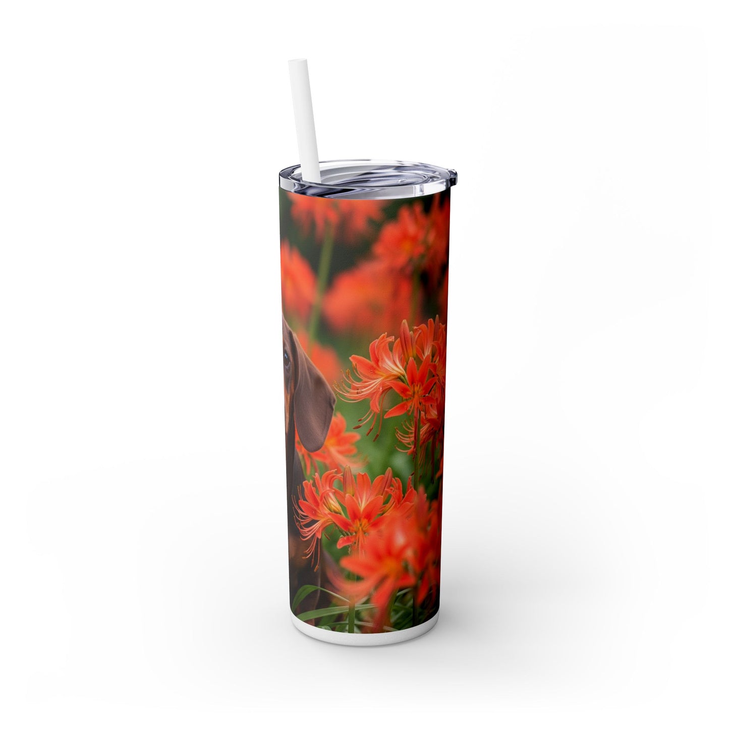 Gobelet isotherme Teckel avec paille, 590 ml