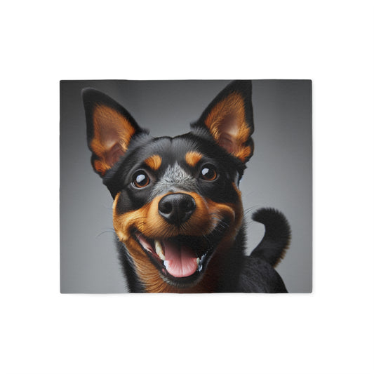 Lancashire Heeler Sweatshirt Blanket