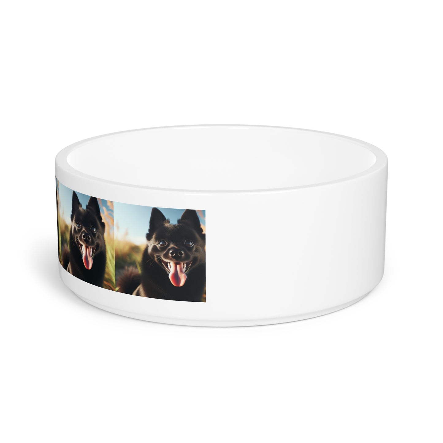 Schipperke Pet Bowl