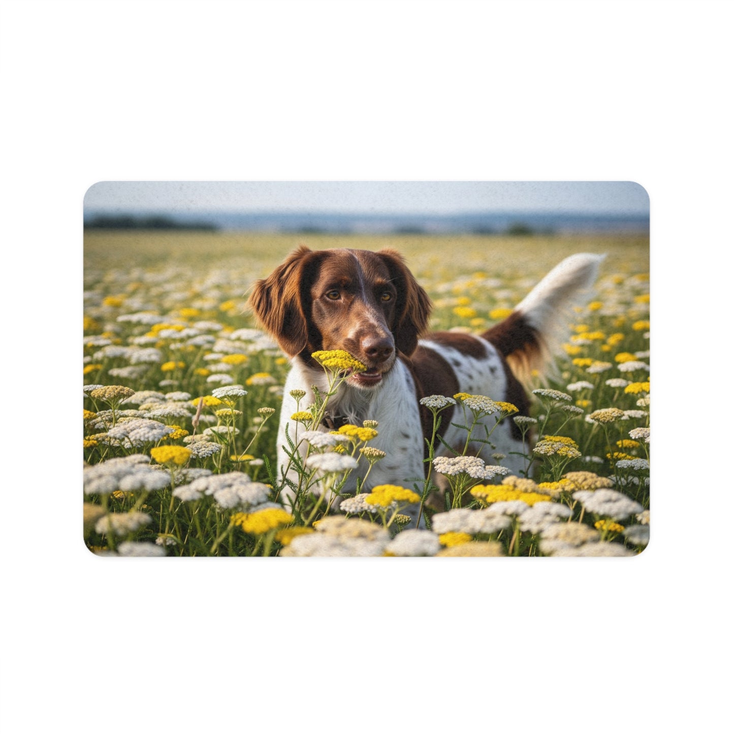 Pet Food Mat (12x18) - Drentsche Patrijshond