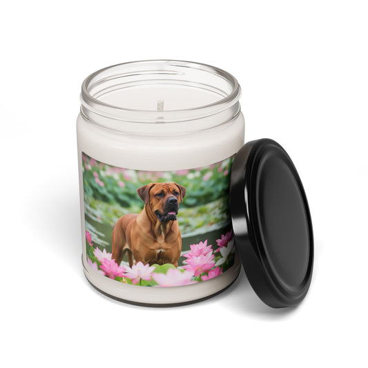 Tosa- Scented Soy Candle, 9oz