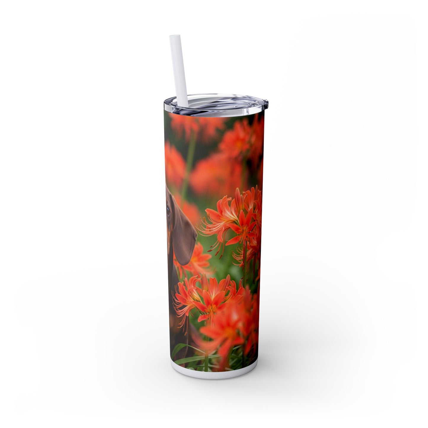 Gobelet isotherme Teckel avec paille, 590 ml