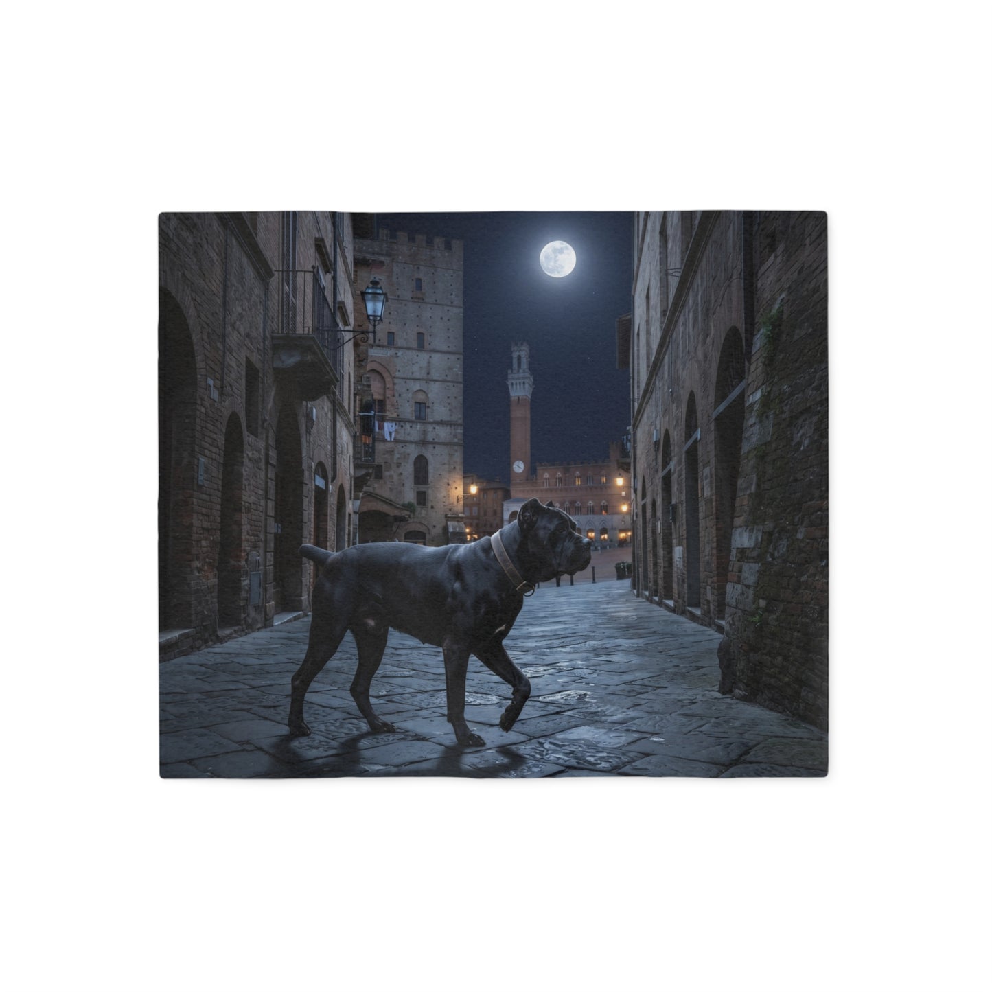 Cane Corso Blanket