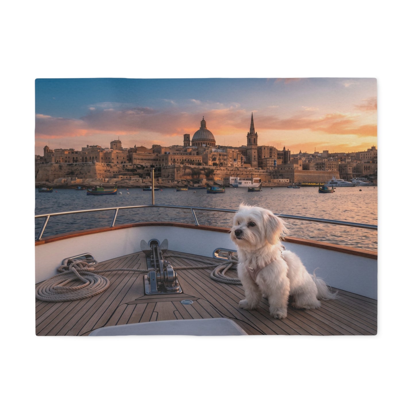 Maltese Blanket