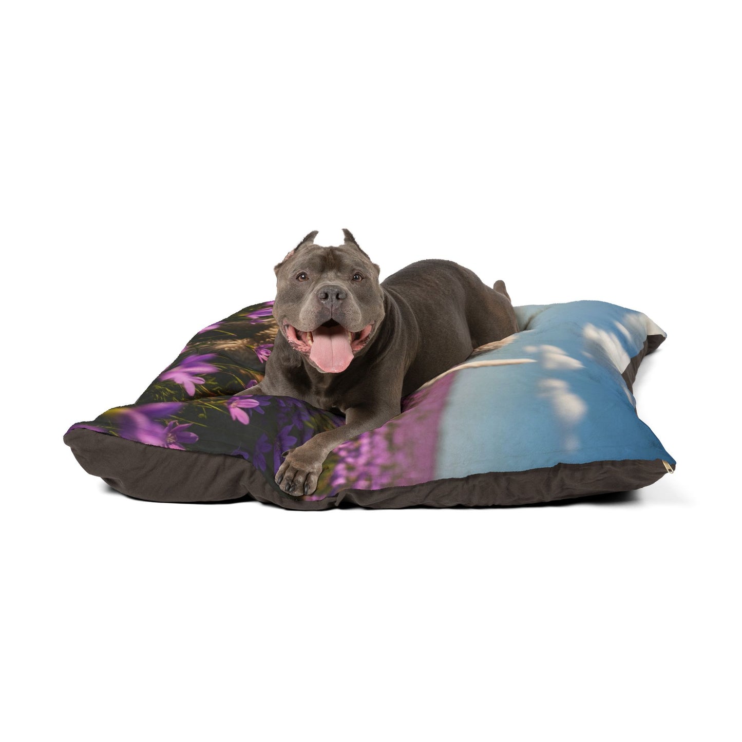 Lagotto Romagnolo Pet Bed