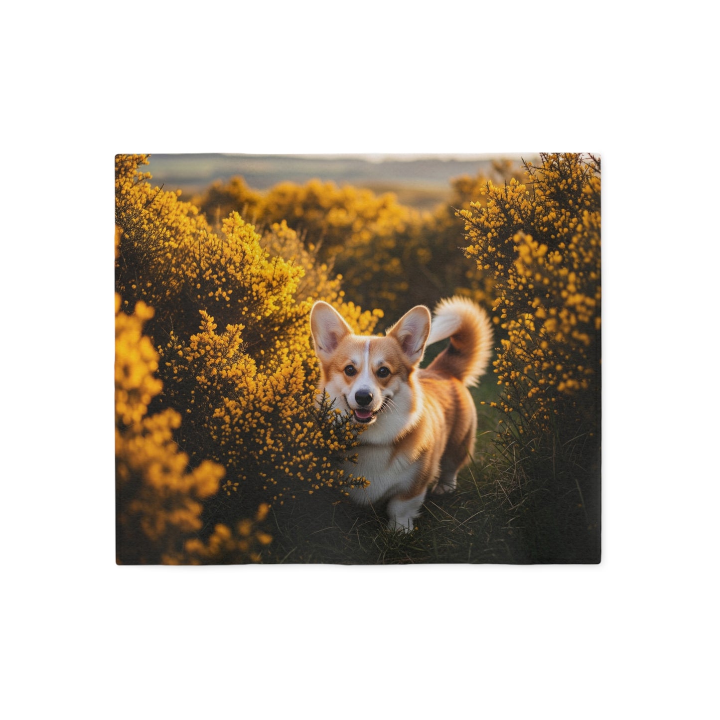 Manta sudadera con diseño de Pembroke Welsh Corgi