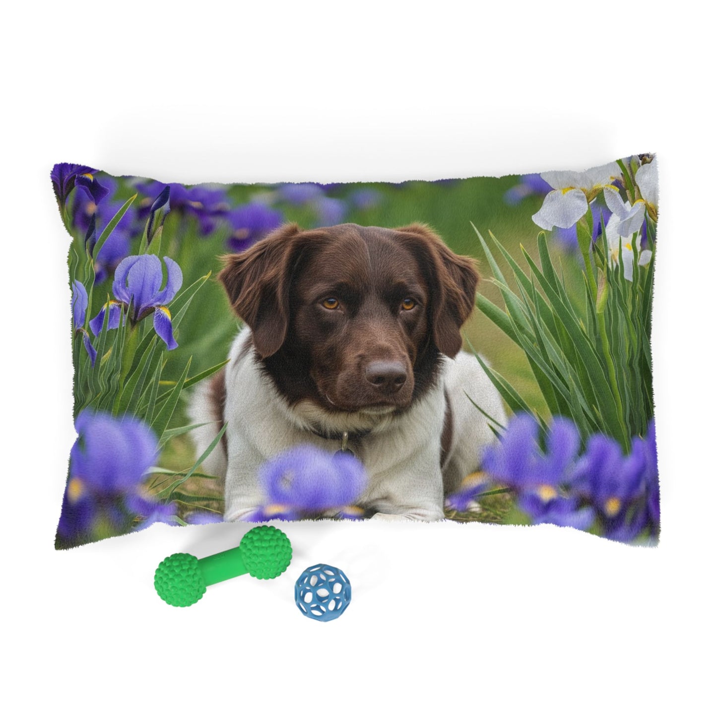 Lit pour animaux Stabyhouns
