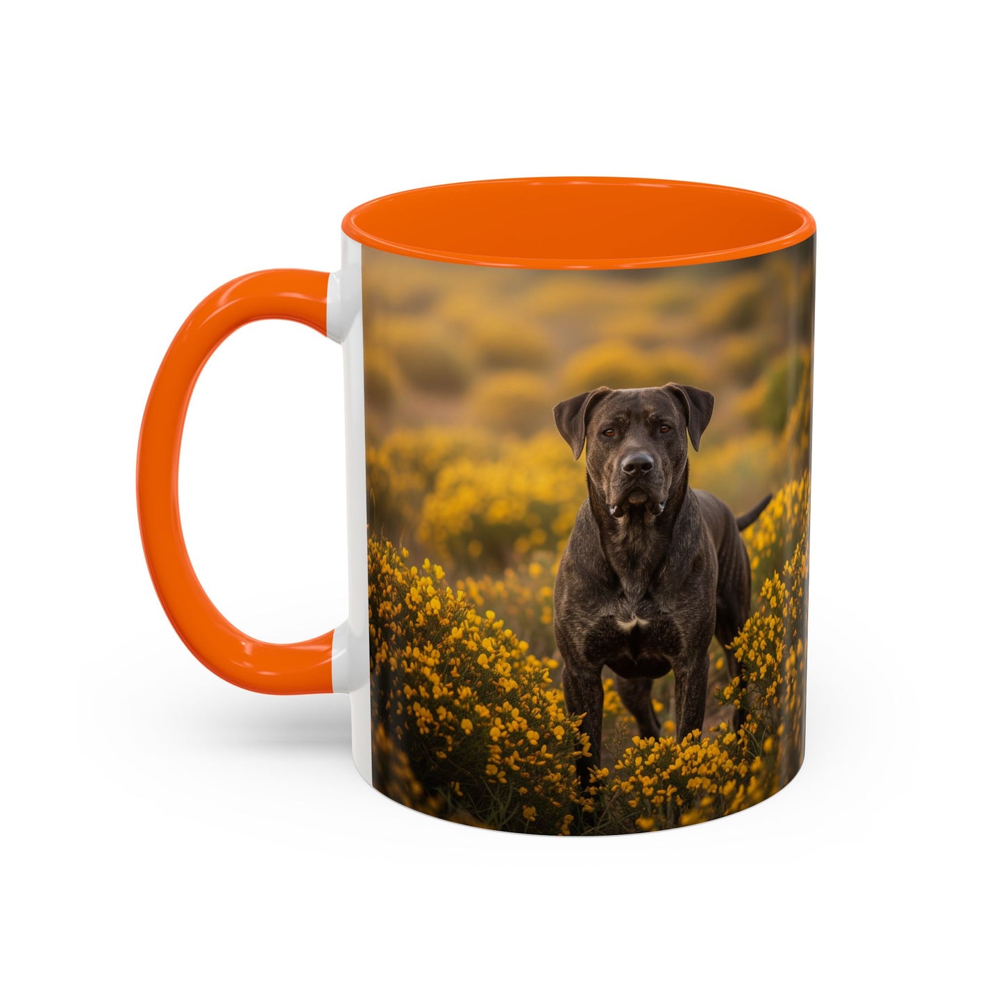 Mug Rafeiro do Alentejo Accent Coffee - Cadeau idéal pour les amoureux des chiens