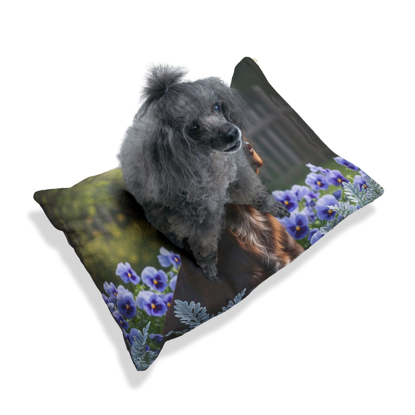 Small Munsterlander Pet Bed