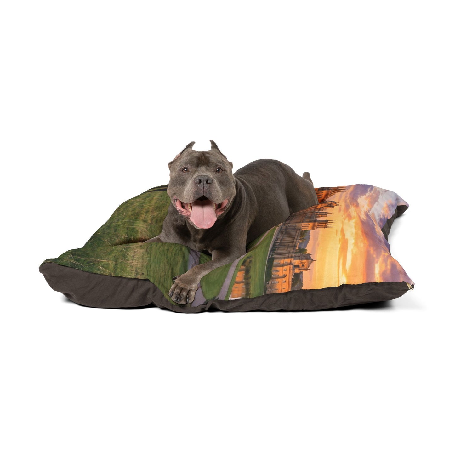 Curly Coated Retriever Pet Bed