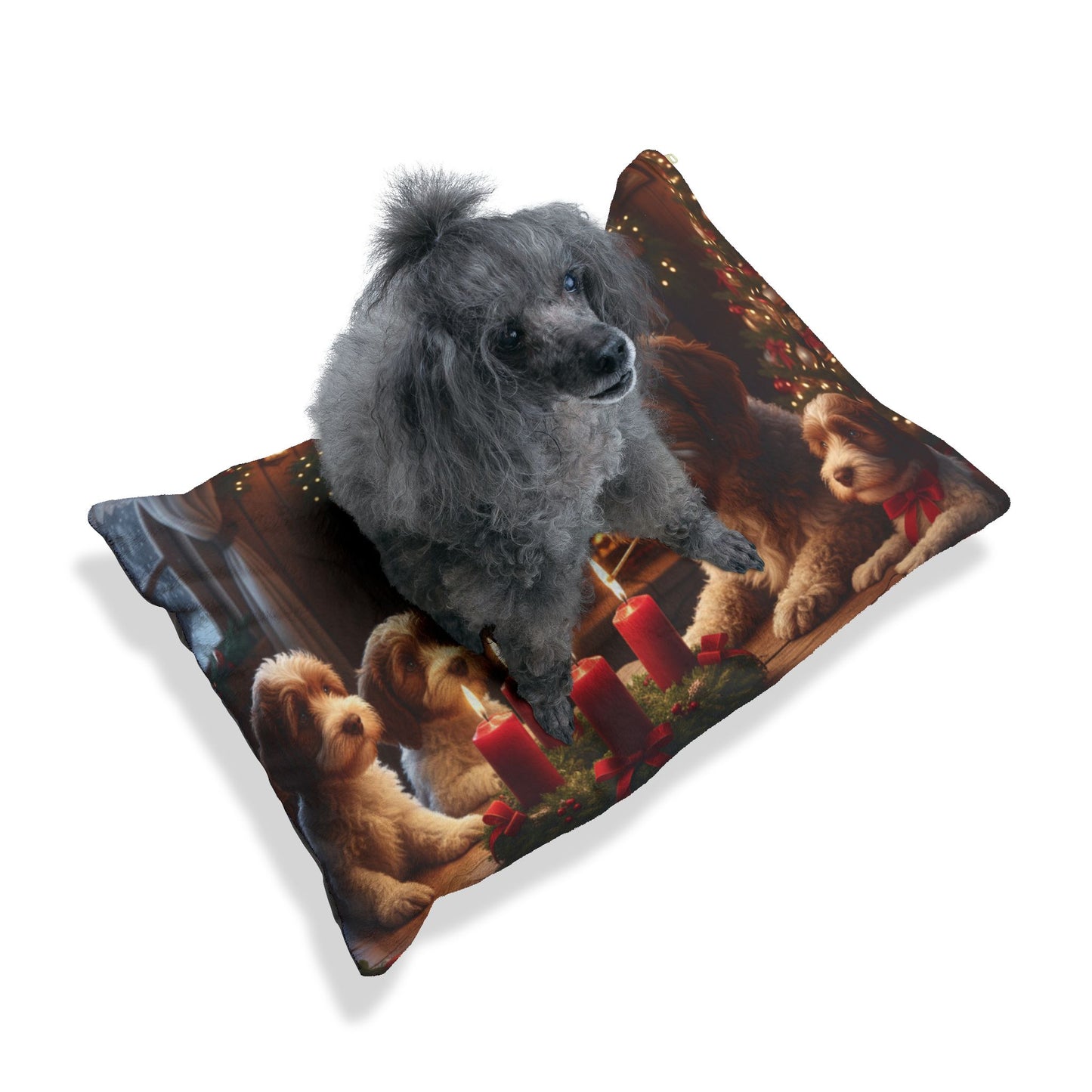 Lagotto Romagnolos Lighting an Advent Candle Pet Bed