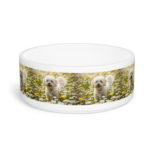 Lowchen Pet Bowl