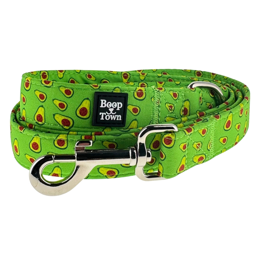 laisses pour chiens