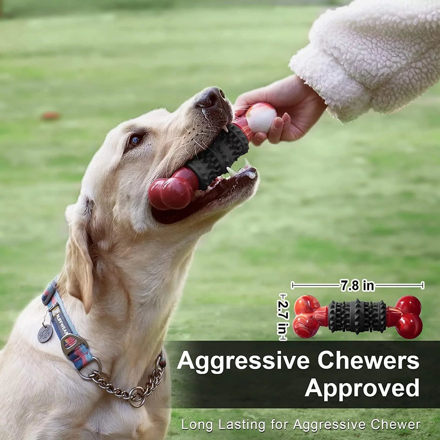 Jouets pour chiens à mâchoires agressives - Os